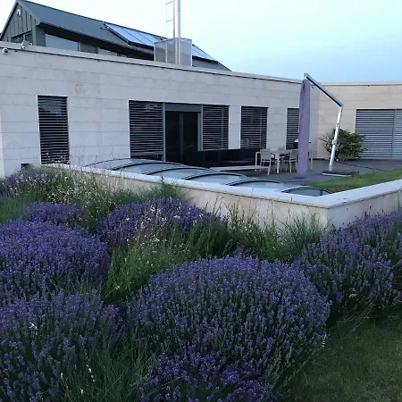 Villa Luxury Emilly - Pool, Sauna And Jacuzzi